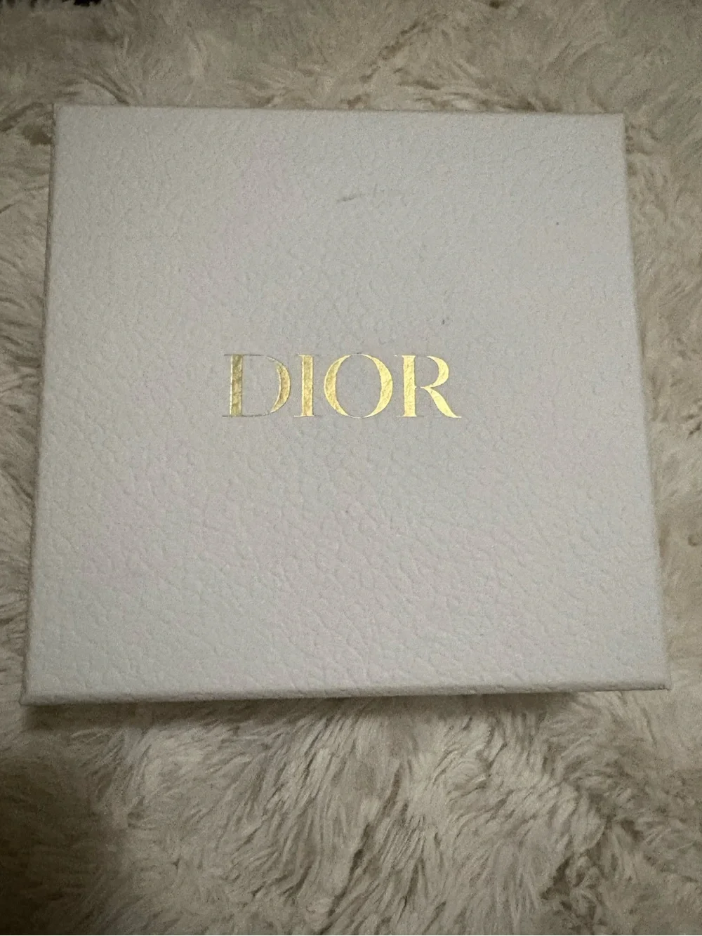 Dior signature oblique